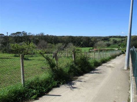 Asta Per Terreno Agricolo Via Delle Magnolie Castagnetta Santa