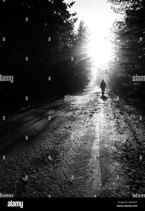 Silueta Hombre Caminando En El Bosque Amanecer Im Genes De Stock En