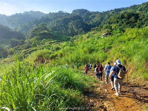 Gunung Ciung Alternatif Mendaki Gunung Di Sekitar Jakarta Dengan Bonus