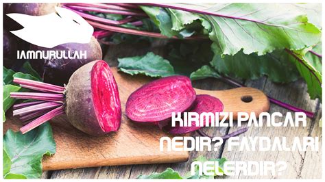 K Rm Z Pancar Nedir Faydalar Nelerdir Iamnurullah