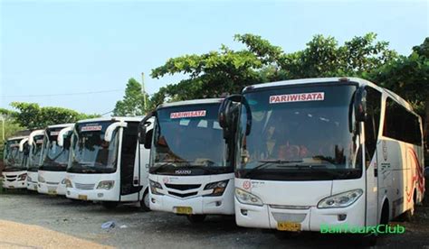 Foto bus Pariwisata Bali tour murah di bali, liburan murah di bali Bali ...