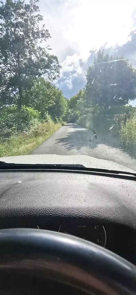 Sex im auto mit einem schönen sexy fremden xHamster