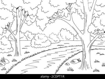 Gráfico de camino de bosque negro blanco paisaje dibujo vector