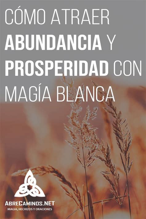 C Mo Atraer Abundancia Y Prosperidad Magia Blanca En Magia