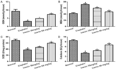 Figure 1 From Protective Effects Of Icariin On Cisplatin Induced Acute