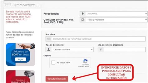 Runt por placa Cómo consultar la información de tu vehículo Consulta gov