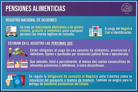 Hoy Comenz A Regir El Registro Nacional De Deudores De Pensiones De