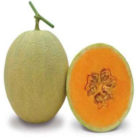 Jryu Muskmelon F1 Hybrid Fruit Seed Price In India Buy Jryu Muskmelon