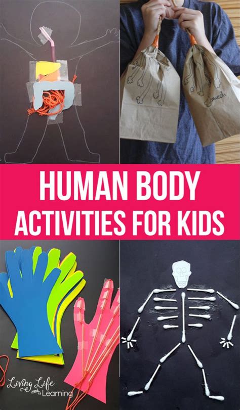 Human Body Activities For Kids Human Body Activities Human Body