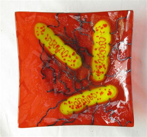 E coli with peritrichous flagella by trilobiteglassworks on DeviantArt