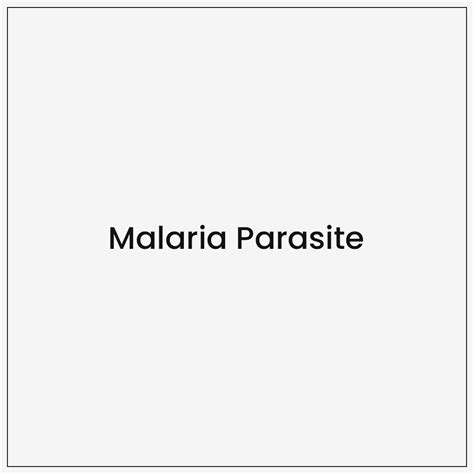 Malaria Parasite - Gooddays Healthcare