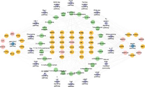 Compound Target Pathway Network Diagram The Green Octagon Represents Download Scientific