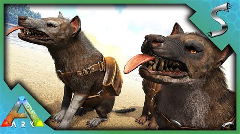 How to tame a hyaenodon in ark