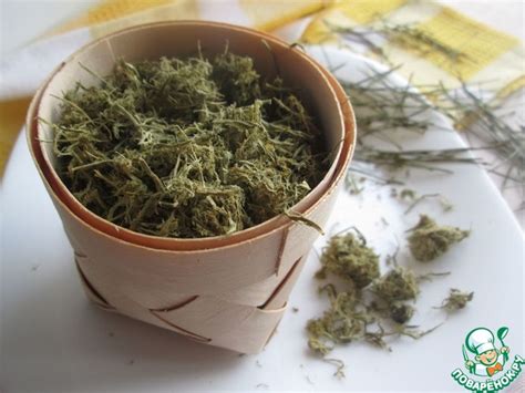 Хвоя сосновая ферментированная – кулинарный рецепт
