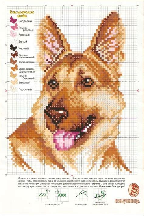 Вышивка собак на заказ. Нашивки с собаками. Схемы вышивки собак крестиком