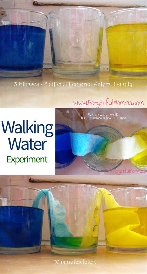 Walking Water Science Experiment Water Science Experiments Water