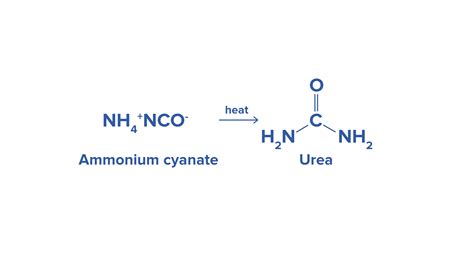 When Ammonium Cyanate Is Heated For A Long Time The Product Is