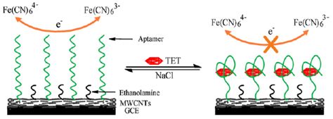 Chemosensors Free Full Text Contribution Of Nanomaterials To The