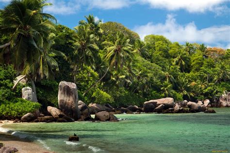 3840x2160 Resolution Green Coconut Tree And Rock Formation Landscape