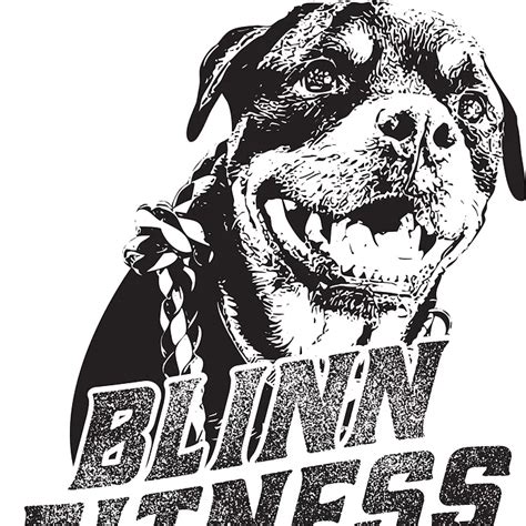 Blinn Fitness广告：Diffshop店湖，全球电商独立站与广告一站式数据监控及选品