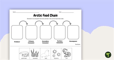 Arctic Food Chain - Cut and Paste Worksheet | Teach Starter