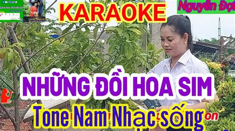 Karaoke Nh Ng I Hoa Sim Tone Nam Nh C S Ng Karaoke Nguy N I