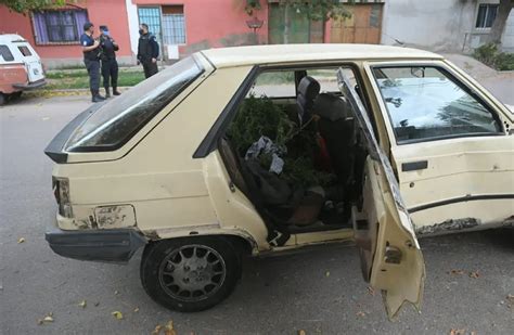 Entraron A Una Casa Ataron A Las V Ctimas Y Robaron Plantas De