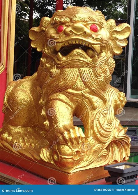animal gold 8