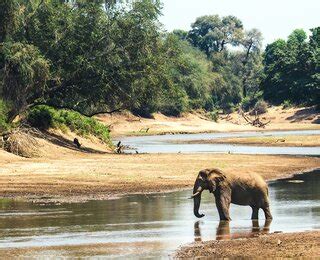 Südafrika Highlights Garden Route bis Krüger NP WeDesignTrips