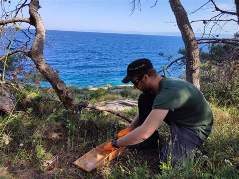 Eradicato Il Ratto Nero Alle Isole Tremiti Ilsipontino Net