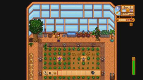 Stardew Valley Planting Trees On Walkway Of Greenhouse Year Round