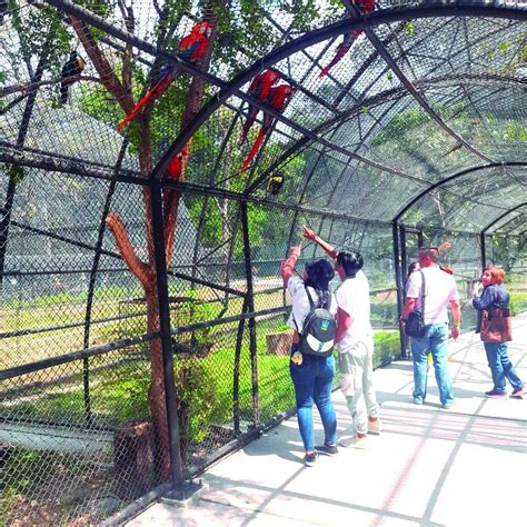 En Las Delicias el zoo reabre con 80 especies Los inicios del zoológico