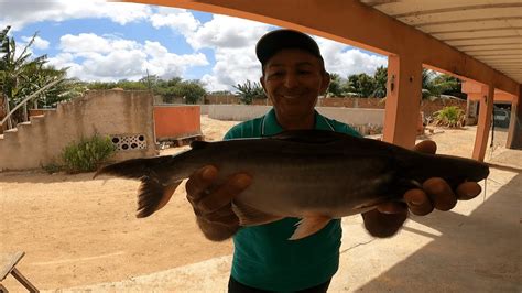 Veja só qual o peso do peixe panga depois de 9 meses YouTube