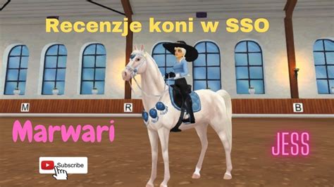 Recenzje Koni W Sso Marwari Jess Youtube