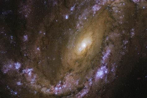 Hubble Image Showcases Supernovae Filled Spiral Galaxy Upi