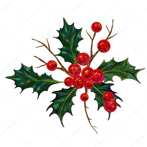 Holly Berries Drawing at GetDrawings | Free download