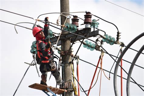 Petugas Pln Melakukan Pemeliharaan Jaringan Listrik Foto