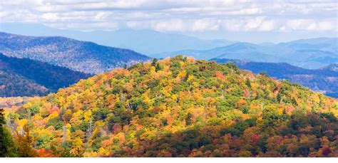 The 20 Best Pisgah National Forest Hiking Trails in North Carolina