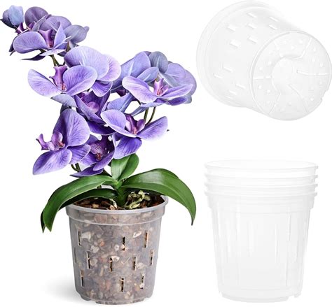 Truedays Lot De Pots Orchid E Transparents Pots Orchid E De