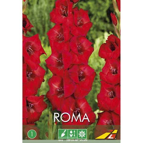 Рома