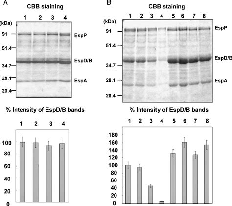 Figure From Positive Effects Of Multiple Pch Genes On Expression Of