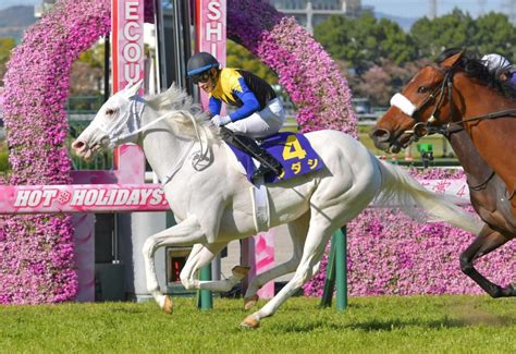 【桜花賞】ソダシ、歴史的v レコード＆無傷5連勝で白毛馬初のクラシック制覇競馬・レースデイリースポーツ Online