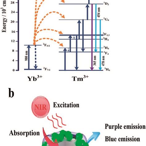 Schematic Diagrams Of Energy Level Transition Of Yb And Tm Ions In