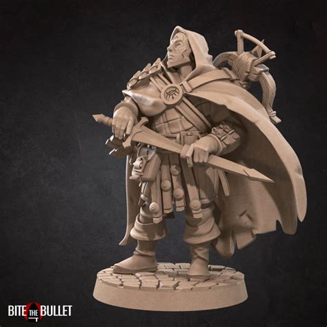 3d Printable Hero Rogue 2 Versions By Bite The Bullet