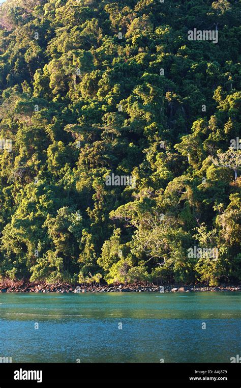 Rainforest Meets Reef In Far North Queensland Australia Dsc 0417 Stock