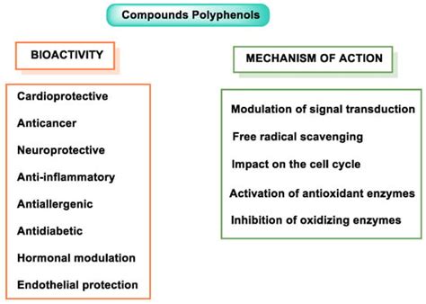 polyphenols  antioxidantpro oxidant compounds  donors