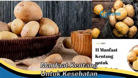 Banyak Yang Belum Tahu Ini Dia Manfaat Kentang Untuk Kesehatan Yang