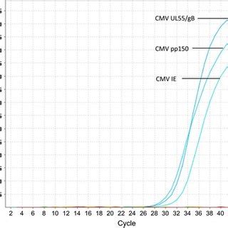 Neuroblastoma Cell Lines In Triplicate Sh Sy Y Sk N Be C Sk N As