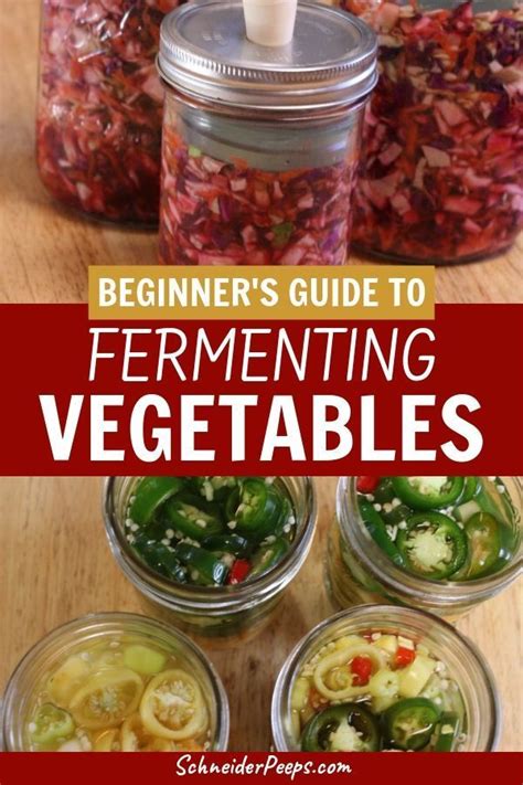 Beginner's Guide to Fermenting Vegetables: Easy Steps for Preserving Food