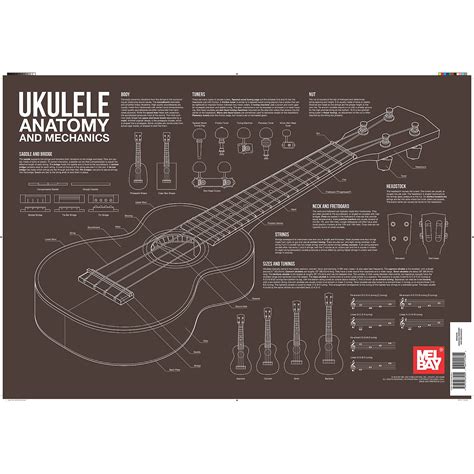 Mel Bay Ukulele Anatomy And Mechanics Wall Chart Musicians Friend